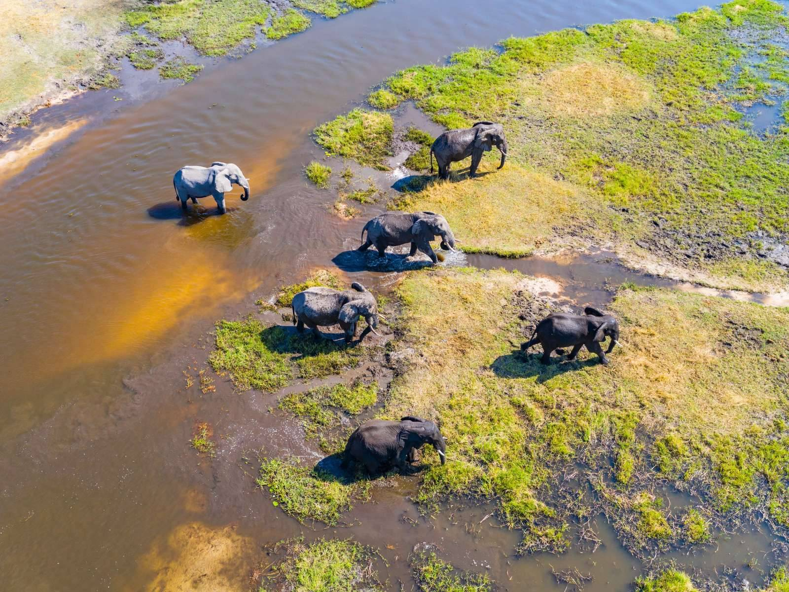 Botswana-Okavango-Delta-10